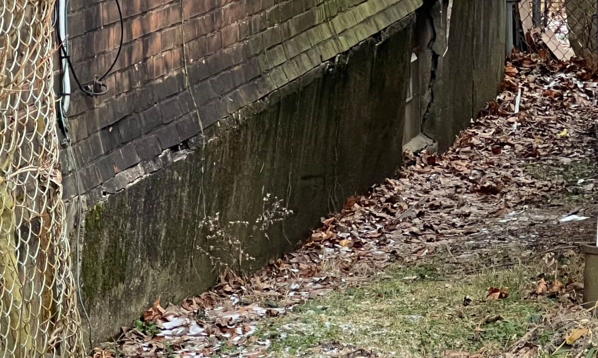 WhatsApp Image 2026-01-16 at 17.20.05